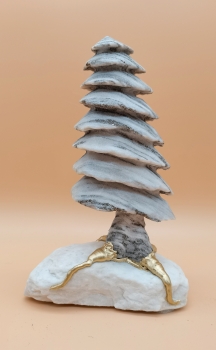 Preview: Binntree auf Dolomit